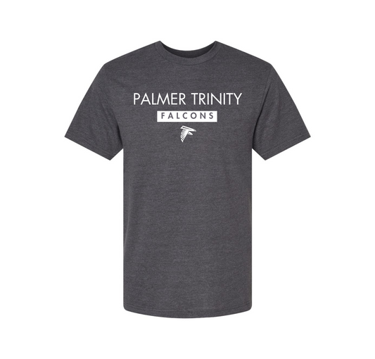 Palmer Trinity Falcons Grey T-Shirt